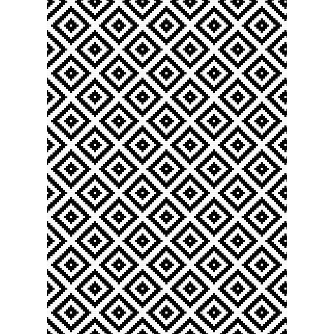 Dina geometric black and white soft and shinny carpet