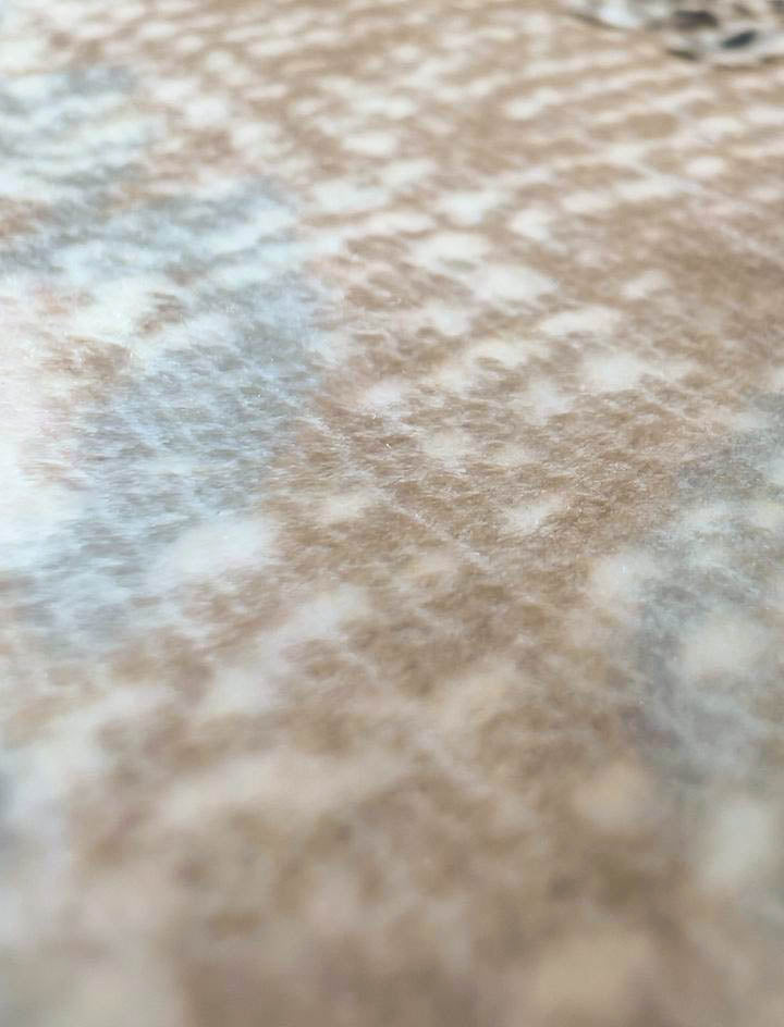 Silver Medallion – Classic Oriental Rug